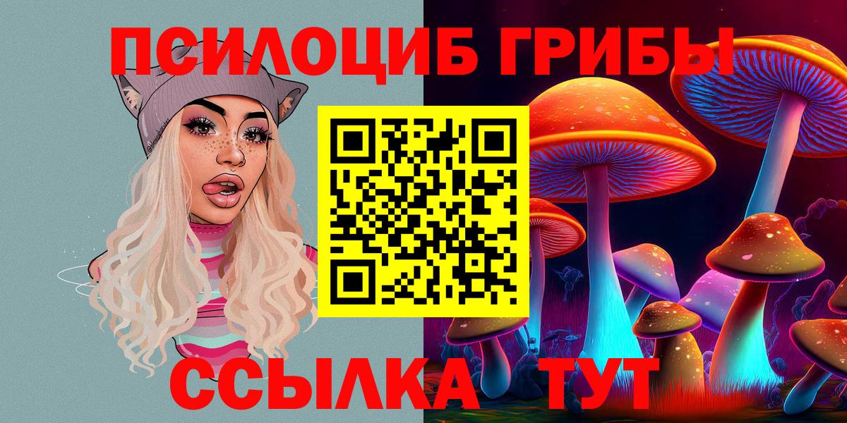 Псилоцибиновые грибы мицелий Выкса